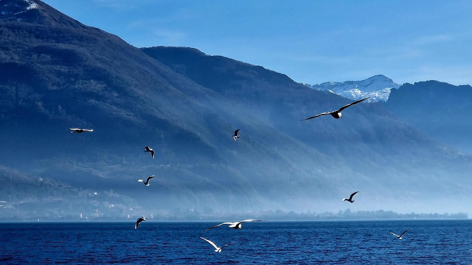 Vichi'S Nest Apartment Pianello Del Lario 0*,  Italy
