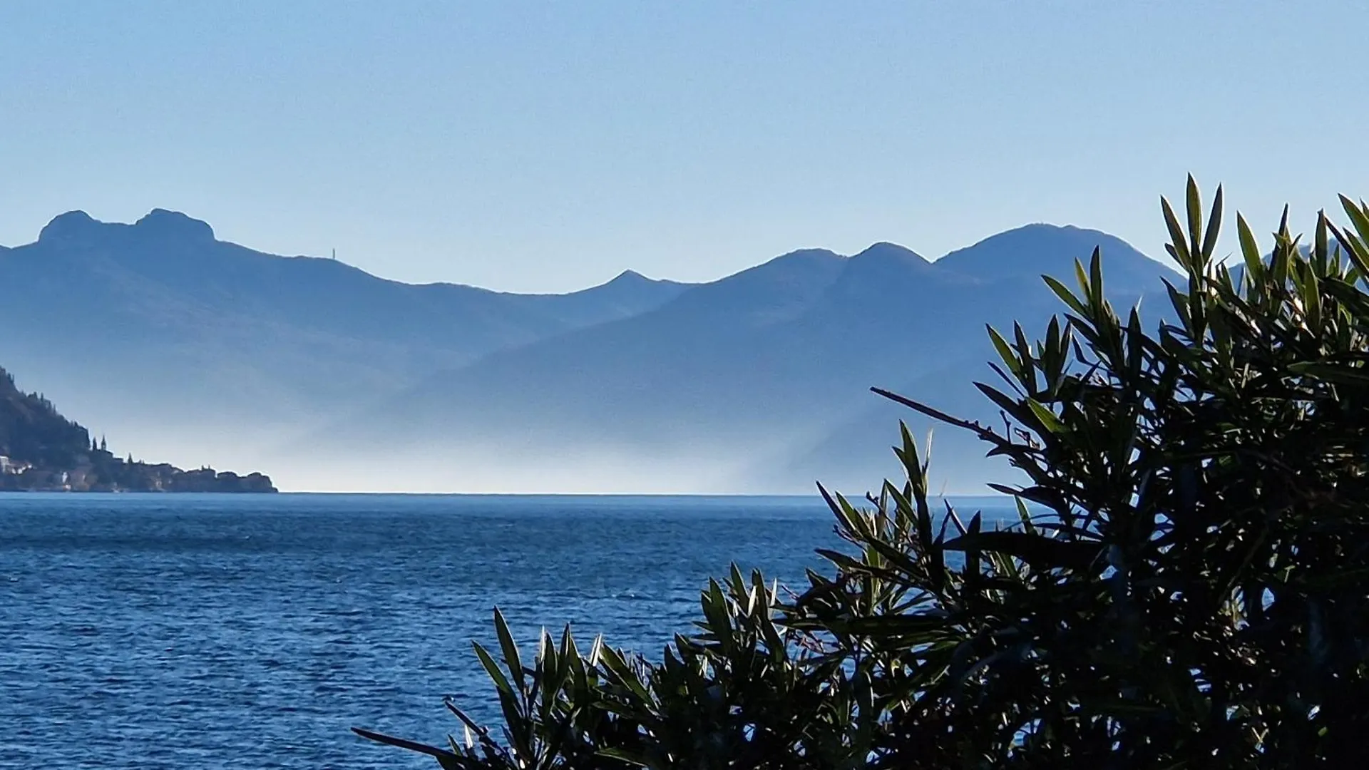Vichi'S Nest Apartment Pianello Del Lario Italy