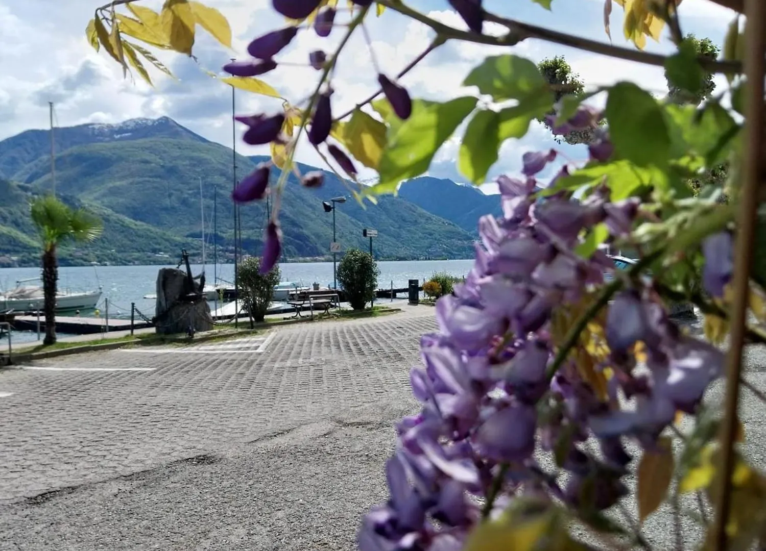 Vichi'S Nest Apartment Pianello Del Lario